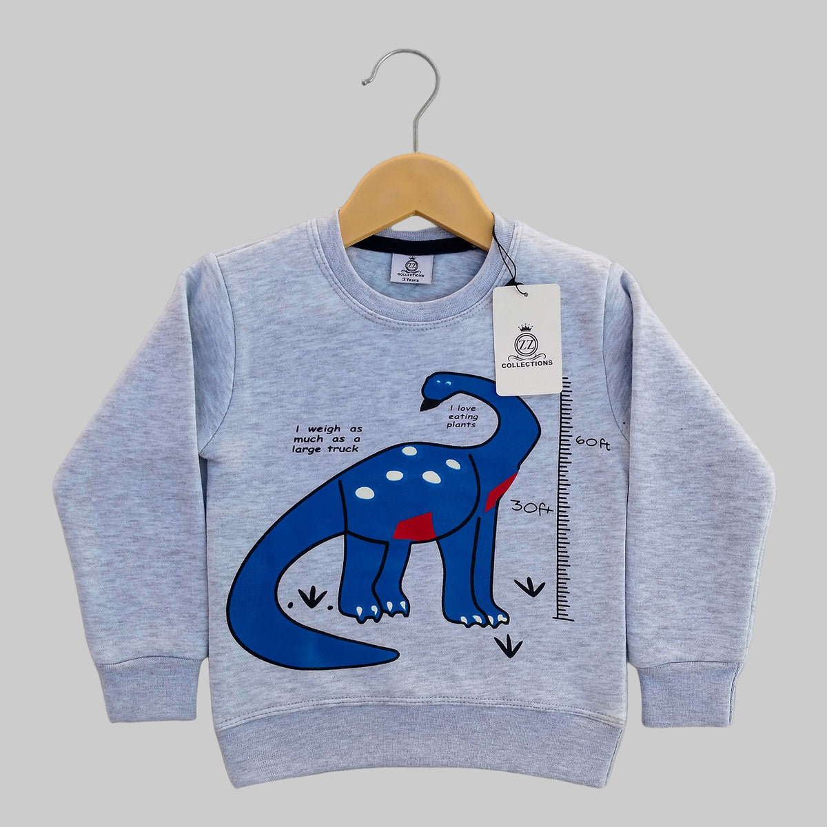 Dino Grey Sweatshirt