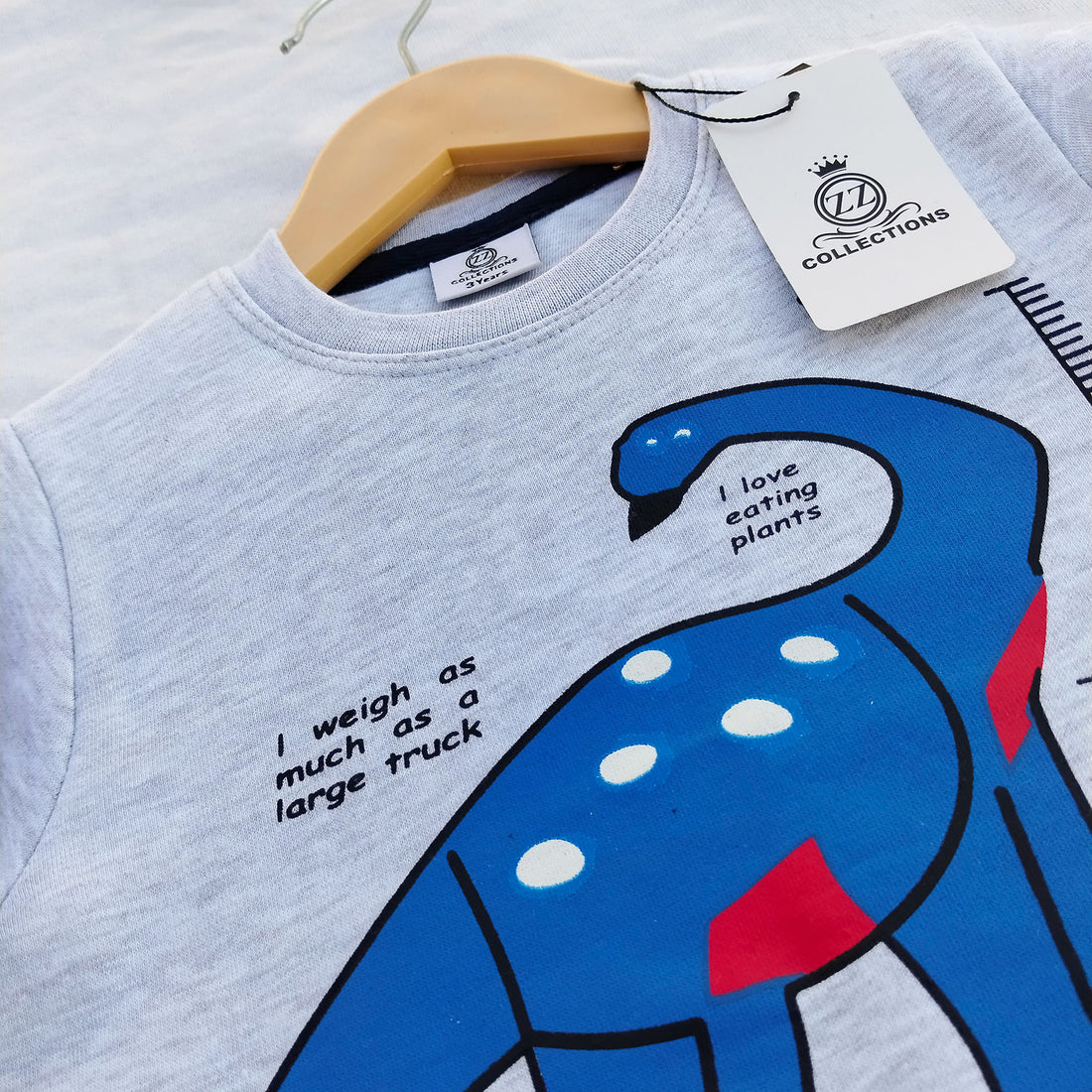 Dino Grey Sweatshirt